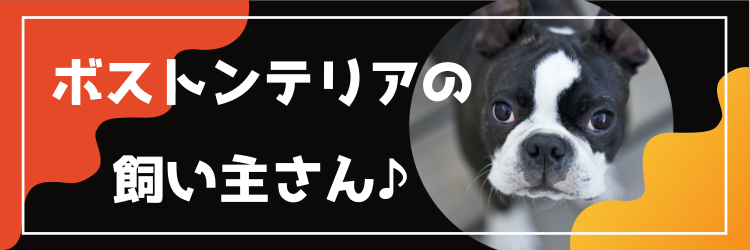 cook 今日なに作ろ？